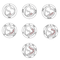 Individualisiertes Amulett mit zwei ineinandergreifenden Herzen sechs Geburtssteinen und Namen